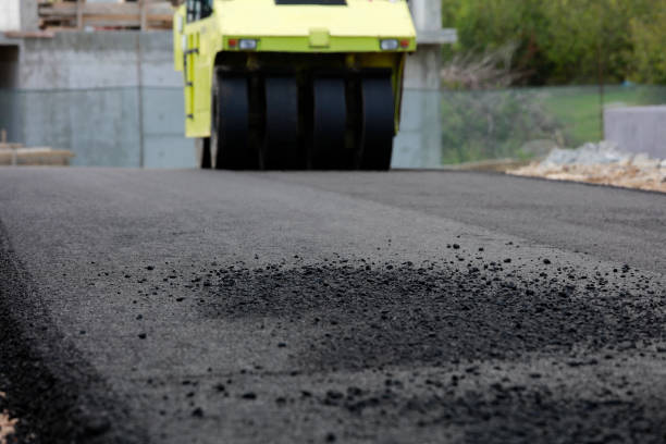 Best Best Driveway Pavers  in Forest Oaks, NC
