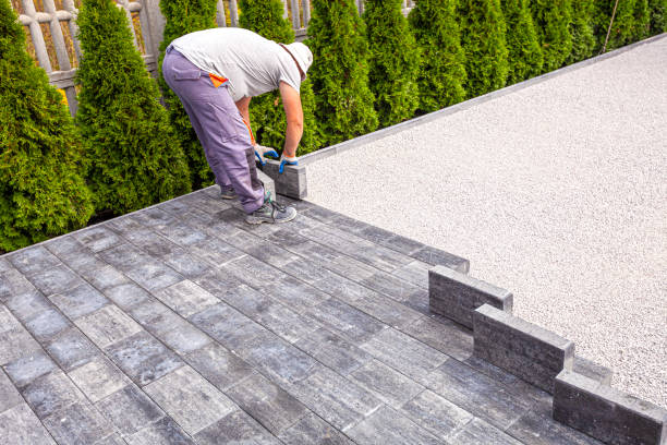 Best Affordable Driveway Paving  in Forest Oaks, NC